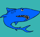 Dibujo Tiburón pintado por dragonoi