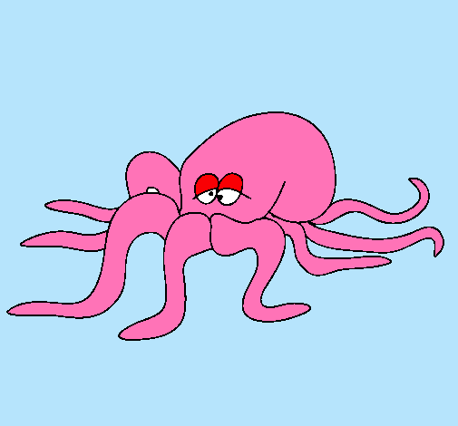 Pulpo