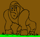 Dibujo Gorila pintado por santino