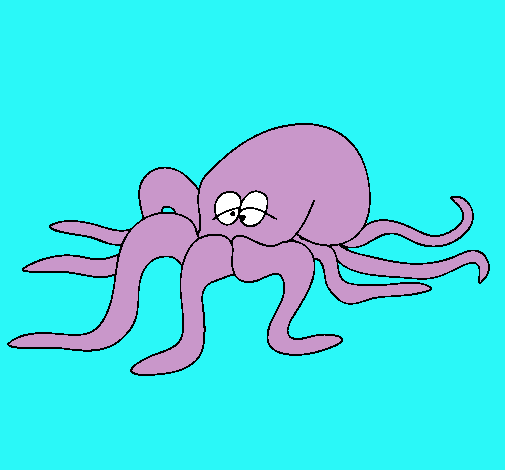 Pulpo