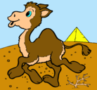 Dibujo Camello pintado por valeria