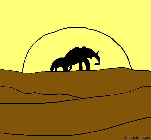 Elefante en el amanecer