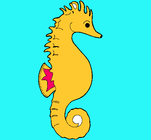 Caballito de mar