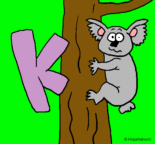 Koala