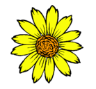 Dibujo Girasol pintado por flor