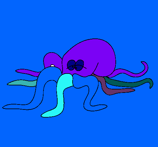 Pulpo