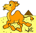 Dibujo Camello pintado por Soador