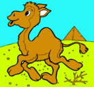 Dibujo Camello pintado por onaiver