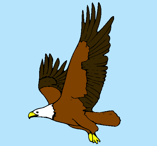 Águila volando