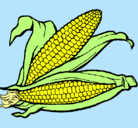 Dibujo Mazorca de maíz pintado por tiana