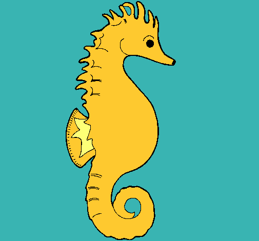 Caballito de mar