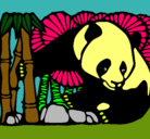 Dibujo Oso panda y bambú pintado por juanma