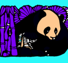 Dibujo Oso panda y bambú pintado por INGRID