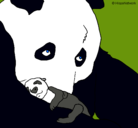 Dibujo Oso panda con su cria pintado por Dafne