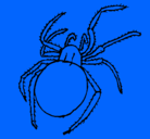 Dibujo Araña venenosa pintado por robert