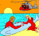 Dibujo Rescate ballena pintado por angeleduardo