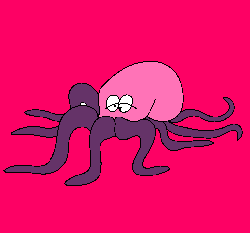 Pulpo