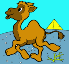 Dibujo Camello pintado por luisana