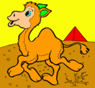 Dibujo Camello pintado por valu88