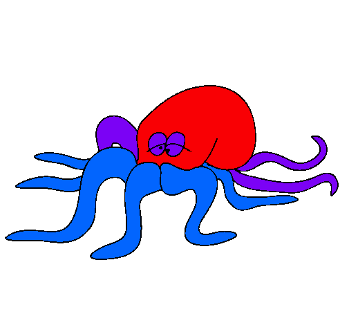 Pulpo