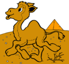 Dibujo Camello pintado por lukitu
