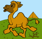 Dibujo Camello pintado por M.A.V.