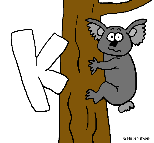 Koala