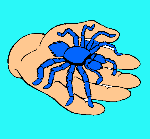 Tarántula