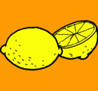 Dibujo limón pintado por CARMENBALLE