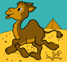 Dibujo Camello pintado por carlos