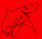 Dibujo Tiburón alegre pintado por josue