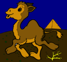 Dibujo Camello pintado por yesenia