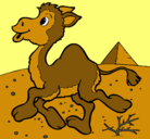 Dibujo Camello pintado por valenzapata