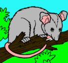 Dibujo Ardilla possum pintado por javier