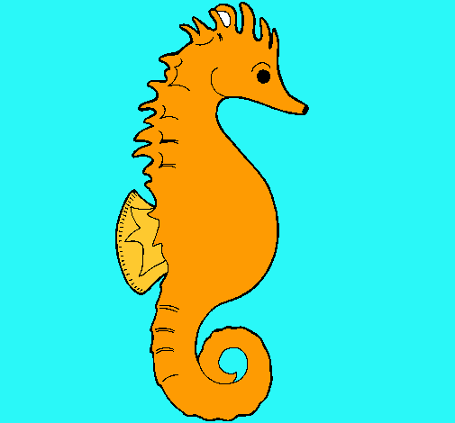 Caballito de mar