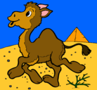 Dibujo Camello pintado por manolo