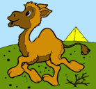 Dibujo Camello pintado por greqorio