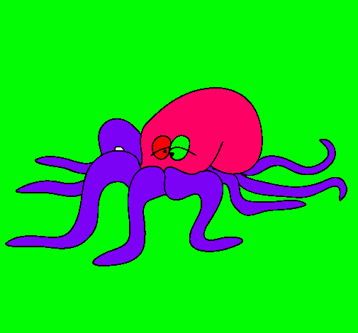 Pulpo