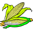 Dibujo Mazorca de maíz pintado por ronal