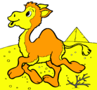 Dibujo Camello pintado por oscar