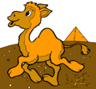 Dibujo Camello pintado por claudio