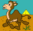 Dibujo Camello pintado por ximena