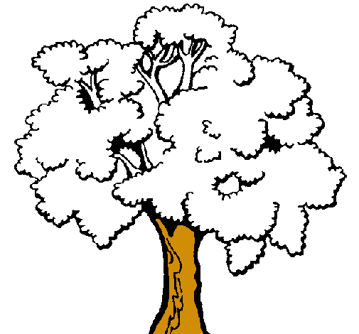 Árbol