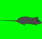 Dibujo Rata pintado por adriano