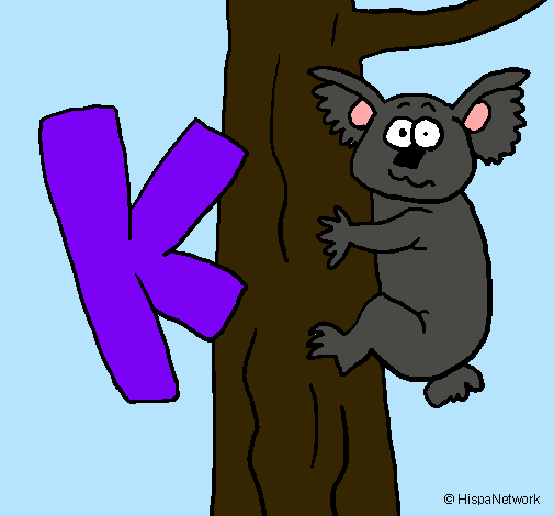 Koala