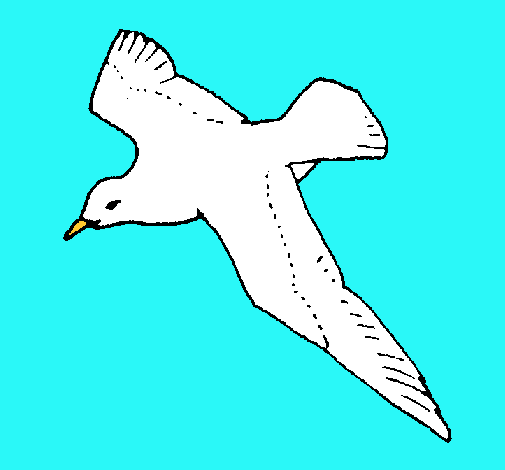 Gaviota