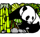 Dibujo Oso panda y bambú pintado por ferchis
