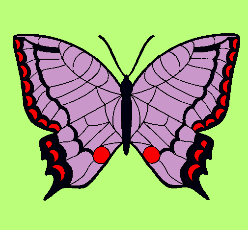 Mariposa