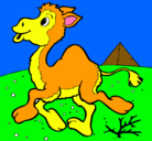 Dibujo Camello pintado por isabella
