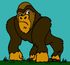 Dibujo Gorila pintado por Gorila